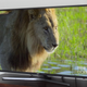 Image for article titled PETA Condemns BBC For Trapping Thousands Of Endangered Animals Inside TV Screens